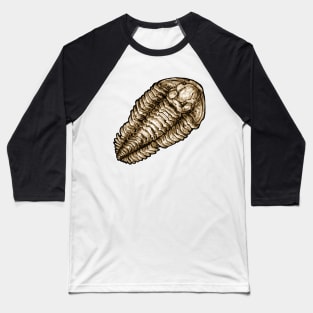 Calymene Trilobite Fossil Sticker Baseball T-Shirt